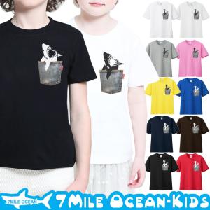 7MILE OCEAN Tシャツ 半袖 子供服 キッズ ジュニア 男の子 女の子 サメ 胸ポケットだまし絵｜trend-i