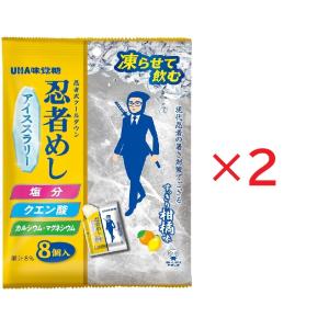3個セット UHA味覚糖 忍者めし アイススラリー すっきり柑橘味 三条