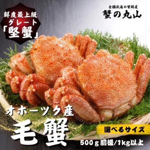 最高ランク 特大 ボイル 毛蟹 オホーツク海 急速冷凍 毛ガニ 毛がに かに カニ味噌 / 2尾 超特大1kg以上