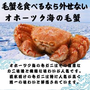 最高ランク 特大 ボイル 毛蟹 オホーツク海 ...の詳細画像4