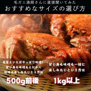 最高ランク 特大 ボイル 毛蟹 オホーツク海 ...の詳細画像5