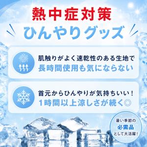 【予備保冷剤付き】ネッククーラー 三重化学工業...の詳細画像1
