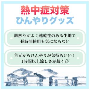三重化学工業 保冷剤付き ネッククーラー 首用...の詳細画像1