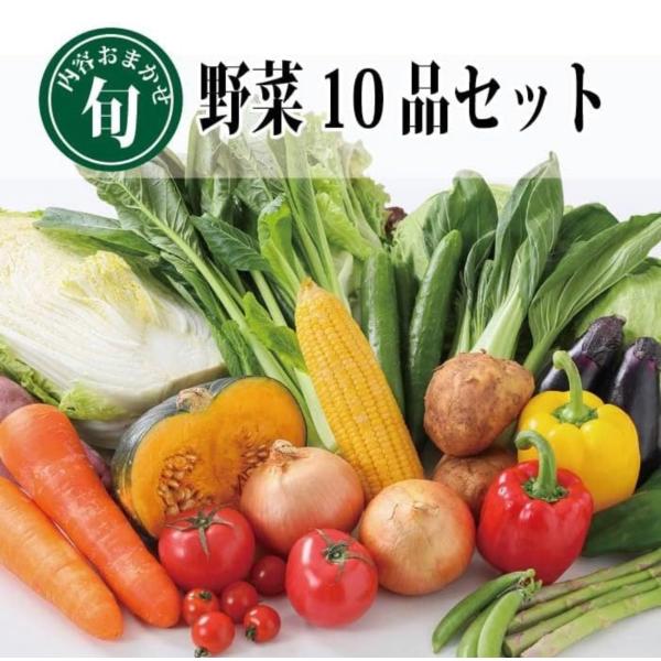 【 新鮮 冷蔵 】旬の八百屋直送 野菜10品セット (80サイズ)