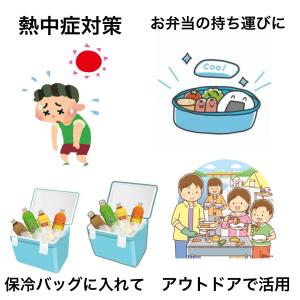 保冷剤 COOL クール (30g×1)弁当箱...の詳細画像3
