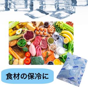 保冷剤 COOL クール (30g×1)弁当箱...の詳細画像4