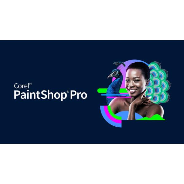 【正規品】 PaintShop Pro 2023 Ultimate ダウンロード版【3時間でメール納...