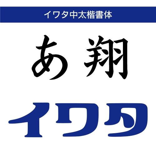 【正規品】 TrueType イワタ中太楷書体 ダウンロード版 【3時間でメール納品】