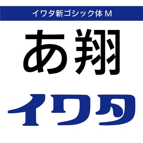 【正規品】 TrueType イワタ新ゴシック体M ダウンロード版 【3時間でメール納品】