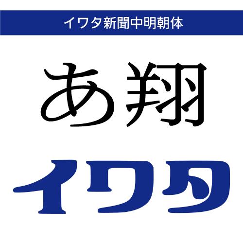 【正規品】 TrueType イワタ新聞中明朝体 ダウンロード版 【3時間でメール納品】