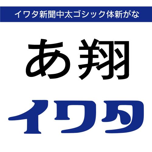 【正規品】 TrueType イワタ新聞中太ゴシック体新がな ダウンロード版 【3時間でメール納品】
