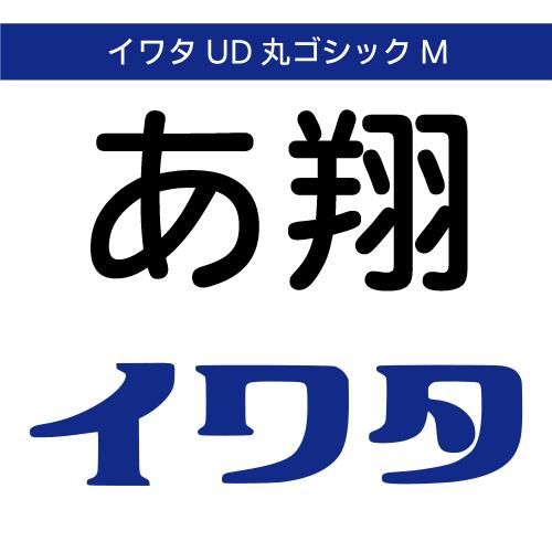 【正規品】 TrueType イワタUD丸ゴシックM ダウンロード版 【3時間でメール納品】