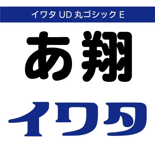 【正規品】 TrueType イワタUD丸ゴシックE ダウンロード版 【3時間でメール納品】