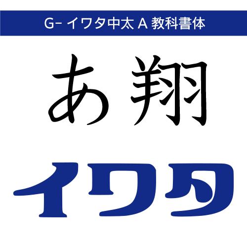 【正規品】 TrueType Gイワタ中太A教科書体 ダウンロード版 【3時間でメール納品】