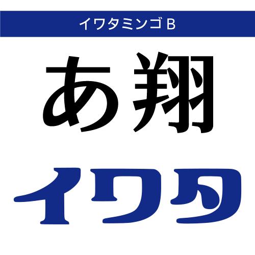 【正規品】 TrueType イワタミンゴB ダウンロード版 【3時間でメール納品】