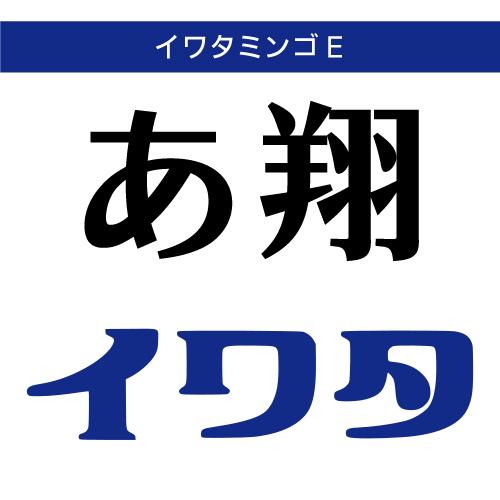 【正規品】 TrueType イワタミンゴE ダウンロード版 【3時間でメール納品】