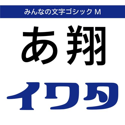 【正規品】 TrueType みんなの文字ゴシック0213N M ダウンロード版 【3時間でメール納...