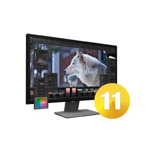 【正規品】 SILKYPIX Developer Studio Pro11 ダウンロード版【3時間で...