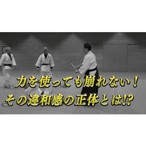 皮一枚を攻める合気〜触れた瞬間に相手を無力化す...の詳細画像3