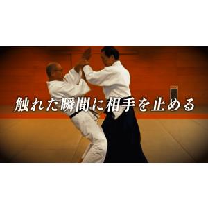 皮一枚を攻める合気〜触れた瞬間に相手を無力化す...の詳細画像5