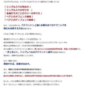 バドミントン上達革命DVD 埼玉栄男子バドミン...の詳細画像2