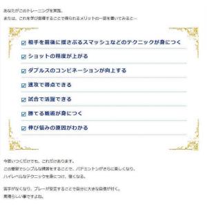 バドミントン上達革命DVD 埼玉栄男子バドミン...の詳細画像3