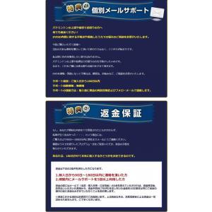 バドミントン上達革命DVD 埼玉栄男子バドミン...の詳細画像5
