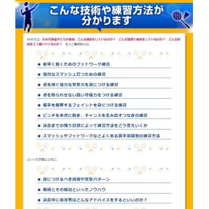 バドミントンシングルスDVD〜日本代表コーチが...の詳細画像5