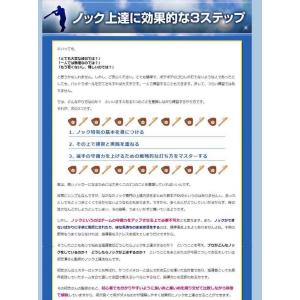 野球ノック上達革命〜ミスターロッテ・初芝清によ...の詳細画像5