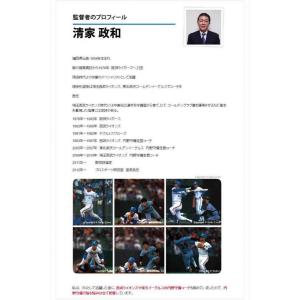 内野守備上達革命DVD〜内野守備のコツ 内野守...の詳細画像2