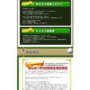 骨格ゴルフ〜若い頃と同じスイングで結果につなげ...の詳細画像5