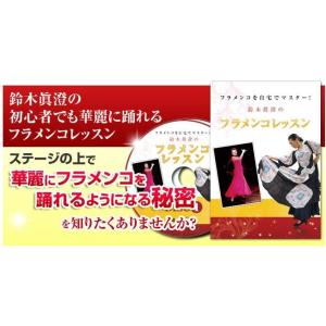 フラメンコを自宅でマスター フラメンコ初心者へ...の詳細画像3