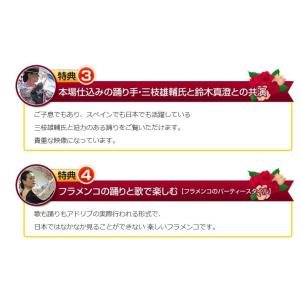 フラメンコを自宅でマスター フラメンコ初心者へ...の詳細画像5