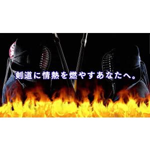 剣道の真髄〜逆転の発想からの剣道上達法〜 全日...の詳細画像3