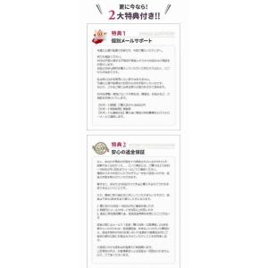 弓道上達の極意〜的中率アップの練習法DVD〜 ...の詳細画像5