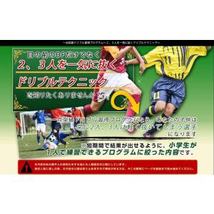 ジャパンライム SHIZUGAKU シズガク サッカースタイル 静岡学園 名将
