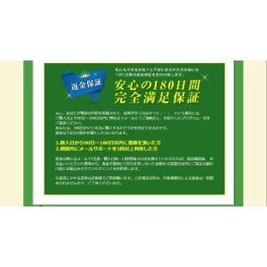 一点突破ドリブル習得プログラムDVD サッカー...の詳細画像5