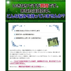常盤木学園・世界基準のパスサッカートレーニング...の詳細画像3