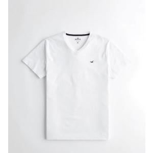ホリスター Tシャツ メンズ 半袖 ブラック カモ...