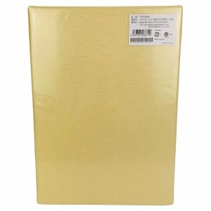 【新品訳あり特価】トゥルースリーパー ライト ...の詳細画像3