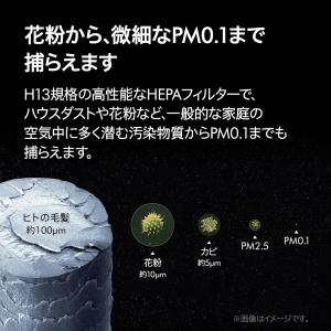 ダイソン 空気清浄機 ヒーター Dyson P...の詳細画像1