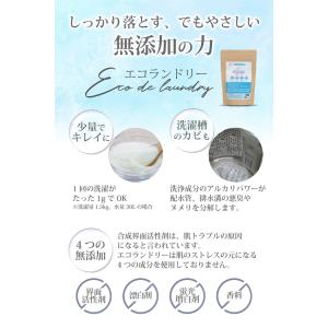 無添加洗濯洗剤 エコランドリー ONE-G ワ...の詳細画像1