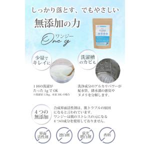 無添加洗濯洗剤 ONE-G ワンジー 洗濯洗剤...の詳細画像1
