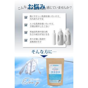 無添加洗濯洗剤 ONE-G ワンジー 洗濯洗剤...の詳細画像2