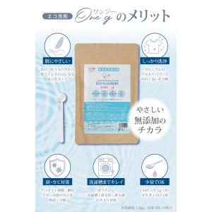 無添加洗濯洗剤 ONE-G ワンジー 洗濯洗剤...の詳細画像3