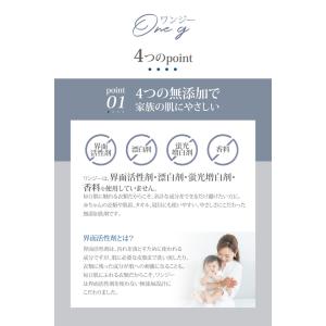 無添加洗濯洗剤 ONE-G ワンジー 洗濯洗剤...の詳細画像4