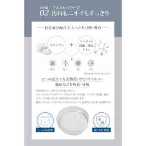 無添加洗濯洗剤 ONE-G ワンジー 洗濯洗剤...の詳細画像5