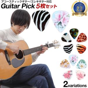 ギターピック ピック 5枚セット ギターピック ピック