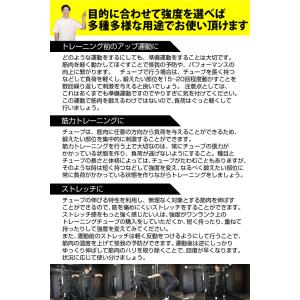 EMPT トレーニングチューブ 単品 | ゴム...の詳細画像4