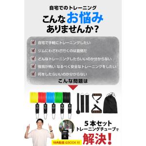 トレーニング動画付 トレーニングチューブ 11...の詳細画像2